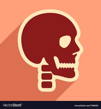 Flat icon with long shadow human skull vector image