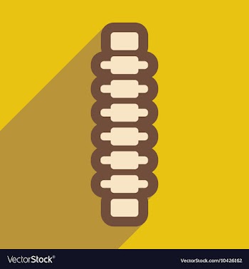 Flat icon with long shadow human spine vector image