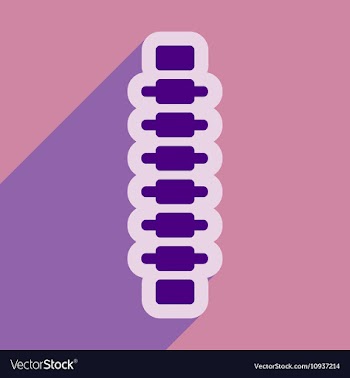 Flat icon with long shadow human spine vector image