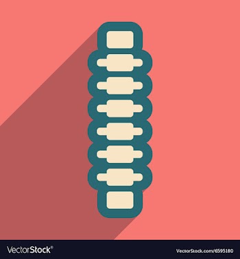 Flat icon with long shadow human spine vector image