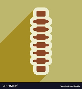 Flat icon with long shadow human spine vector image
