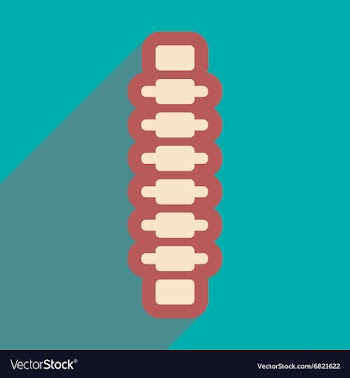 Flat icon with long shadow human spine vector image