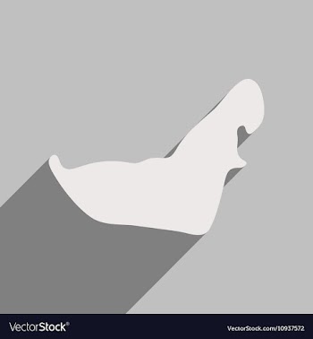 Flat icon with long shadow map Arab Emirates vector image