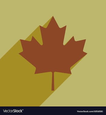 Flat icon with long shadow Maple Leaf vector image