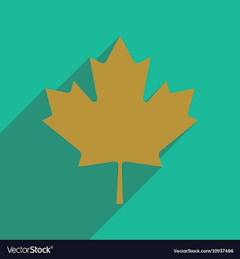 Flat icon with long shadow Maple Leaf vector image