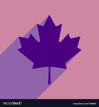 Flat icon with long shadow Maple Leaf vector image