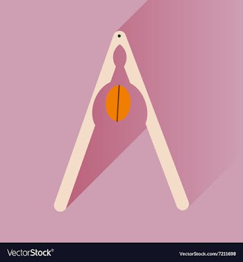 Flat icon with long shadow nut and nutcracker vector image