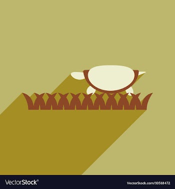Flat icon with long shadow ocean turtle vector image