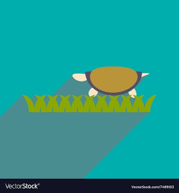 Flat icon with long shadow ocean turtle vector image