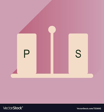 Flat icon with long shadow pepper and salt vector image