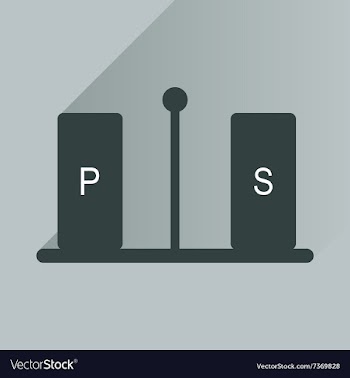 Flat icon with long shadow pepper and salt vector image