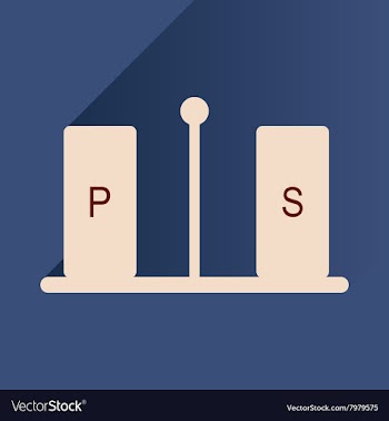 Flat icon with long shadow pepper and salt vector image