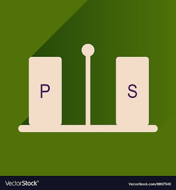 Flat icon with long shadow pepper and salt vector image