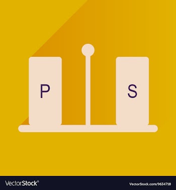 Flat icon with long shadow pepper and salt vector image