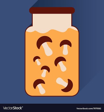 Flat icon with long shadow pickled mushrooms vector image