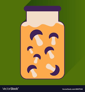 Flat icon with long shadow pickled mushrooms vector image