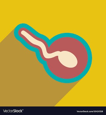 Flat icon with long shadow sperm and egg vector image