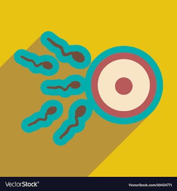 Flat icon with long shadow sperm and egg vector image