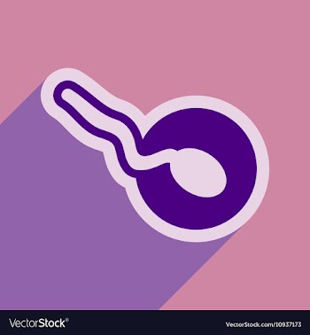 Flat icon with long shadow sperm and egg vector image