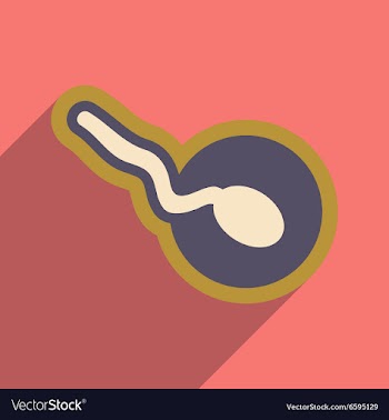 Flat icon with long shadow sperm and egg vector image