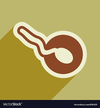 Flat icon with long shadow sperm and egg vector image