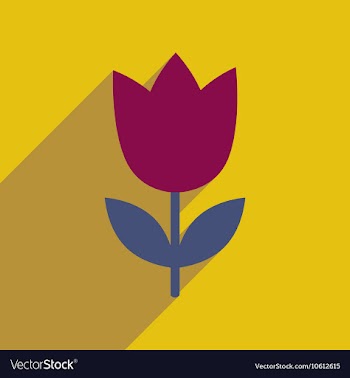 Flat icon with long shadow tulip blooms vector image