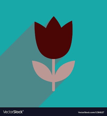 Flat icon with long shadow tulip blooms vector image