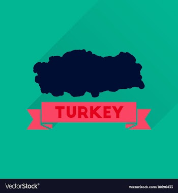 Flat icon with long shadow Turkey map vector image