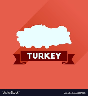 Flat icon with long shadow Turkey map vector image