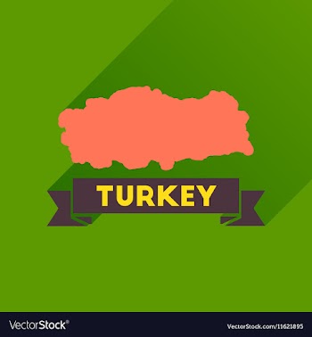 Flat icon with long shadow Turkey map vector image