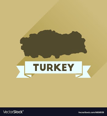 Flat icon with long shadow Turkey map vector image