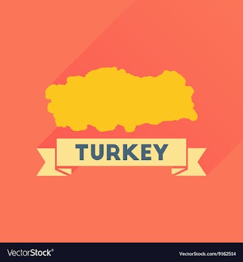 Flat icon with long shadow Turkey map vector image
