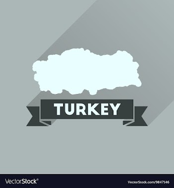 Flat icon with long shadow Turkey map vector image