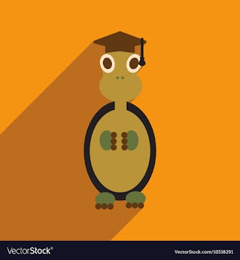 Flat icon with long shadow turtle cartoon vector image