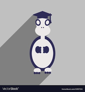 Flat icon with long shadow turtle cartoon vector image
