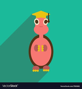 Flat icon with long shadow turtle cartoon vector image