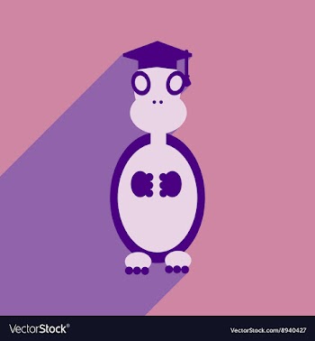 Flat icon with long shadow turtle cartoon vector image