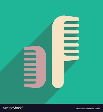 Flat icon with long shadow women combs vector image