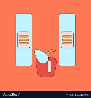 Flat icon with thin lines folders apple vector image