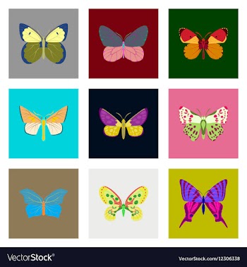 Flat icons big collection of colorful butterflies vector image