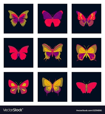 Flat icons big collection of colorful butterflies vector image