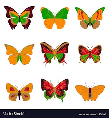 Flat icons big collection of colorful butterflies vector image