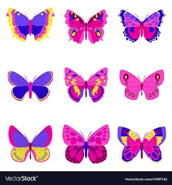 Flat icons big collection of colorful butterflies vector image
