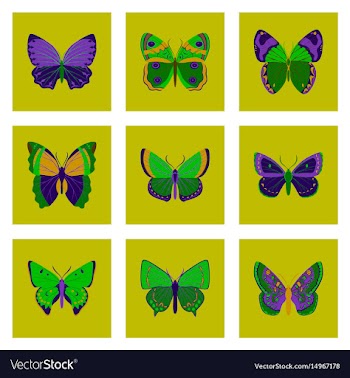 Flat icons big collection of colorful butterflies vector image