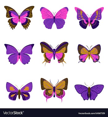 Flat icons big collection of colorful butterflies vector image