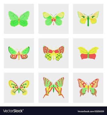 Flat icons big collection of colorful butterflies vector image