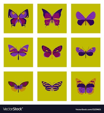 Flat icons big collection of colorful butterflies vector image