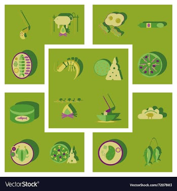 Flat icons collection with shadow food vector image