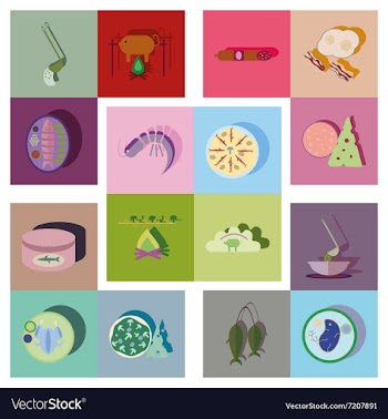 Flat icons collection with shadow food vector image