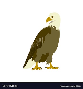 Flat icons on theme of andorra eagle vector image